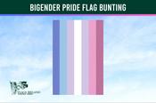 Bigender Pride Flag Bunting