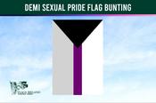 Demi Sexual Pride Flag Bunting