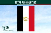 Egypt Flag Bunting