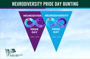 Neurodiversity Pride Day Bunting