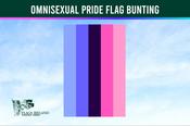 Omnisexual Pride Flag Bunting