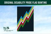 Original Disability Pride Flag Bunting