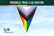 Progress Pride Flag Bunting