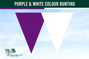Purple &amp; White Colour Bunting