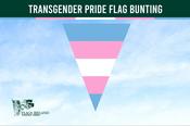 Transgender Pride Flag Bunting