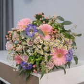 Provence charm image