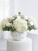 Perfect White - Arrangement image
