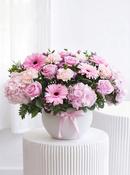 Pretty Pink - Arrangement
