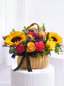 Vibrant - Basket