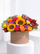 New Baby Autumn Vibrant - Hatbox