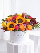 Birthday Autumn Vibrant - Hatbox