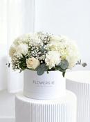 Perfect White - Hatbox image