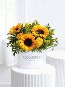 Sunflower - Hatbox image