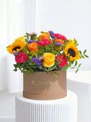 New Baby Vibrant - Hatbox