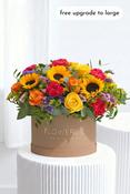Vibrant - Hatbox