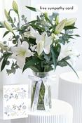 Sympathy White Scented Lily - Vase image