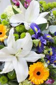 50 Euro Florist Choice