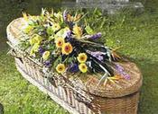 Purple and Yellow Coffin Decoration image