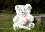 Teddy Bear – Special Flower Tribute image