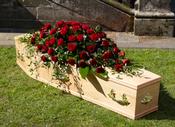 Red Rose Coffin Flower Spray Standard image