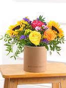 Colour Burst - Hatbox