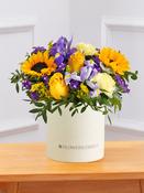 Iris Bliss Hatbox