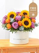 Sunflower Hatbox Free Upgrade image