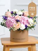 Sweet Pastel Hatbox Free Upgrade image