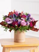 New Baby Autumn Purple Majesty - Hatbox