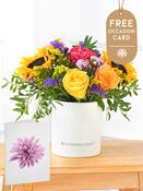 Colour Burst - Hatbox with Free Occasion Card