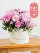 Sweetheart Hatbox Free Upgrade image