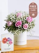 Pink Roses Hatbox with Free Happy Anniversary Card
