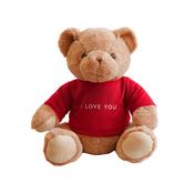 I Love You Teddy image