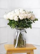 50 White roses in a vase