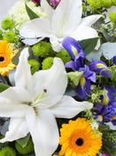 65 Euro Florist Choice