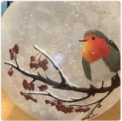 Frosted Globe With Robin