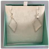 Knight &amp;amp; Day - V Shaped Earrings image