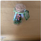 Leprechaun Wishing Jar