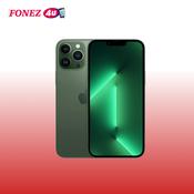 iPhone 13 Pro Max image