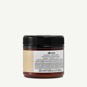 ALCHEMIC CONDITIONER 250ML GOLDEN image