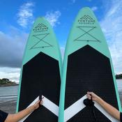 Stand Up Paddle Board image