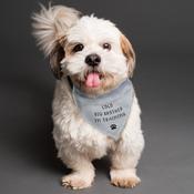 Personalised Dog Bandana - ForYou.ie image