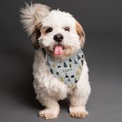 Personalised Christmas Tree Dog Bandana - ForYou.ie image