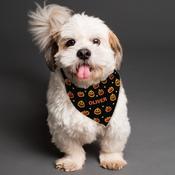 Personalised Pumpkin Patch Dog Bandana - ForYou.ie image