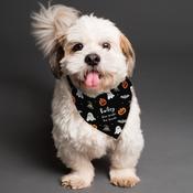 Personalised Halloween Dog Bandana - ForYou.ie image