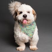 Personalised Easter Dog Bandana - ForYou.ie image