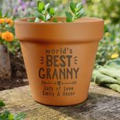 Personalised Worlds Best Terracotta Plant Pot - ForYou.ie image