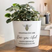 Personalised Bee Large Plant Pot - ForYou.ie image