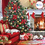 Cosy Christmas Charity 20 Cards Box - Down Syndrome Ireland image