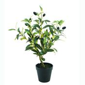 Artificial Mini Olive Tree image